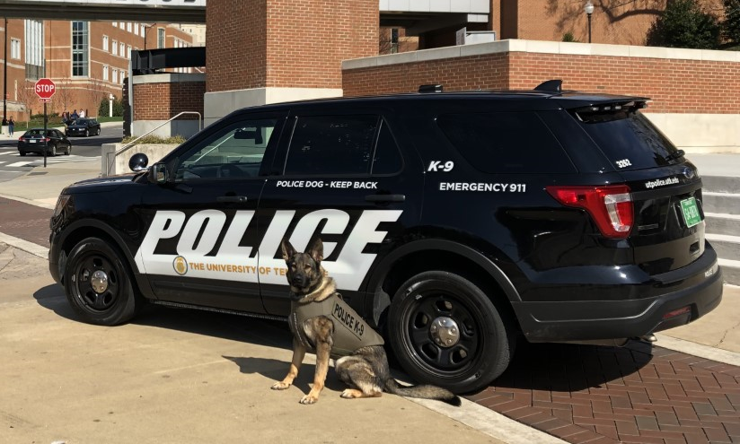 Bruno, UTPD’s apprehension and drug detection dog, in his new bullet and stab protective vest.
